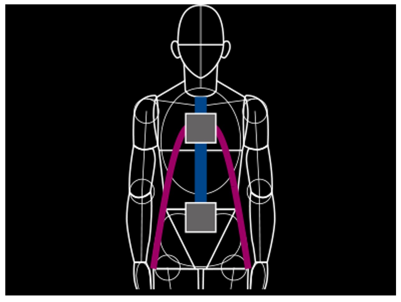 Laevo Exoskeleton 몸통 지지 구조 — 가슴 패드, 양측 구조물, 허리 벨트